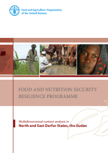 Food and Nutrition Security Resilience Programme: Multidimensional context analysis in North and East Darfur States, the Sudan